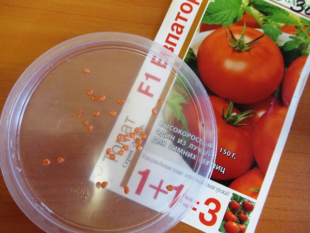 как правильно сажать помидоры на рассаду