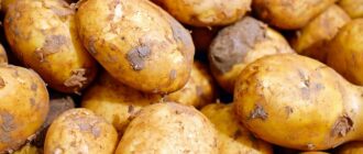 Удобрения для картофеля