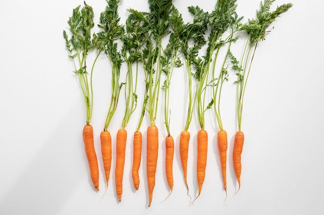 морковь выросла мелкой