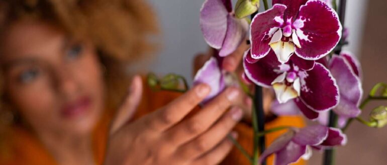 Подкормки для орхидей