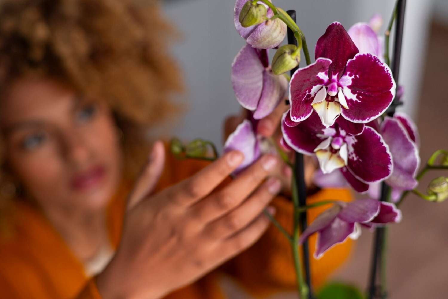 Подкормки для орхидей