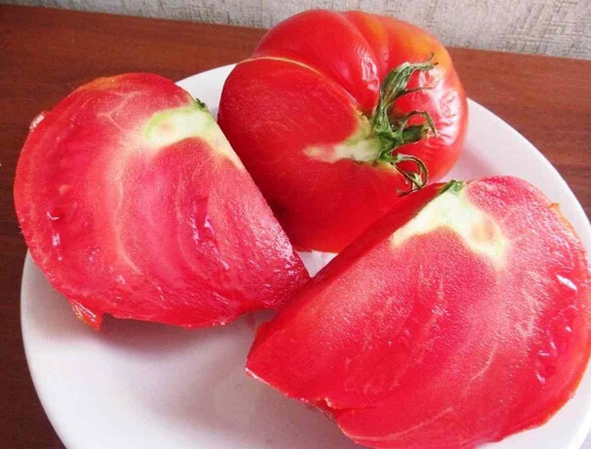 Данко томат на тарелке